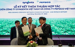 Trồng khoai tây bền vững với PepsiCo, Syngenta, nông dân thu lãi cả trăm triệu đồng