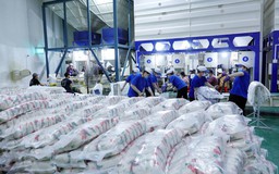 Xuất khẩu gạo sang Trung Quốc nhờ đâu tăng mạnh cả lượng và giá?