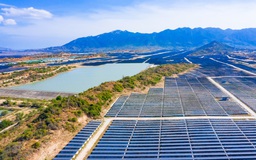 EVN dừng mua 172 MW điện mặt trời của Trung Nam là không đúng quy định