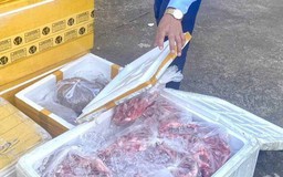 Đắk Lắk: Phát hiện xe tải chở gần 1 tấn thực phẩm không rõ nguồn gốc