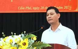 Quảng Ninh: Khai trừ Đảng chủ tịch phường ở Cẩm Phả do bị bắt vì nhận hối lộ