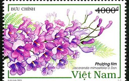 Phát hành bộ tem 'Phượng tím' quảng bá hình ảnh, đất nước, con người Việt Nam