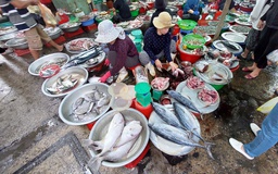 Khám phá chợ hải sản lớn nhất Đà thành