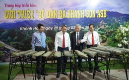 Bộ đàn đá Khánh Sơn quý hiếm trở về Khánh Hòa sau 44 năm lưu lạc