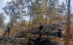 Kon Tum: Cháy rừng, 2 người tử vong