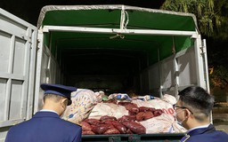 Chặn bắt, buộc tiêu hủy 4 tấn thịt lợn thối tuồn ra thị trường ở Thái Nguyên