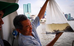 Thả cá, tôm giống xuống sông Sài Gòn trong ngày truyền thống ngành thủy sản