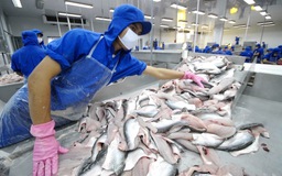 Xây dựng thương hiệu cho tôm, cá tra và cá ngừ Việt Nam