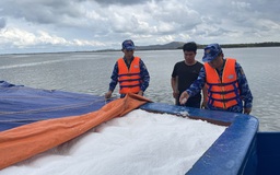 Vùng Cảnh sát biển 3 bắt giữ sà lan chở phân 'mua từ tàu lạ'