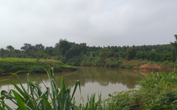 Lâm Đồng: 8 học sinh tắm sông, 1 em bị đuối nước tử vong