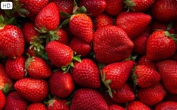 Nghiên cứu chứng minh ăn loại trái cây này giúp giảm nguy cơ mắc bệnh tiểu đường