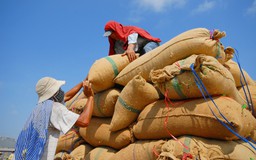 Báo động tình trạng mất an ninh lương thực toàn cầu