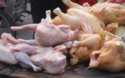 Kiến nghị kiểm soát thịt gà thải loại nhập về cho người ăn