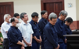 Y án sơ thẩm, phạt cựu Tổng giám đốc Công ty Tân Thuận 13 năm tù