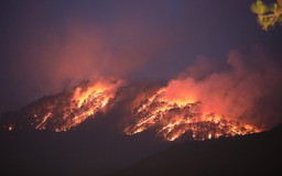 Đà Lạt: Cháy rừng phòng hộ khu vực đèo Prenn
