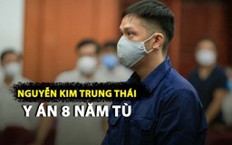 Y án 8 năm tù đối với Nguyễn Kim Trung Thái vụ 'bé gái 8 tuổi'