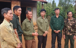 Vụ án 6 cựu chiến binh 'hủy hoại rừng' ở Đắk Nông: TAND TP.Gia Nghĩa trả hồ sơ để điều tra lại