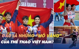 Những ‘mỏ vàng’ giúp Việt Nam vững ngôi đầu bảng tổng sắp huy chương SEA Games