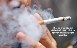Không hút nicotine trong thuốc lá nhưng vẫn có nguy cơ chết… vì khói
