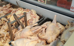Mỗi tháng có hàng chục ngàn tấn gà thải loại nhập lậu vào Việt Nam?