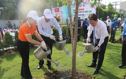 TP.HCM: Trồng mới nhiều cây xanh dáng đẹp, hợp thổ nhưỡng ở công viên Khánh Hội