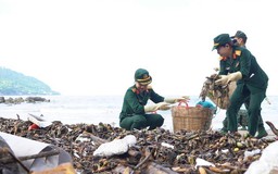 Bà Rịa - Vũng Tàu: Bộ đội, tăng ni cùng trồng cây, thu gom rác, bảo vệ môi trường