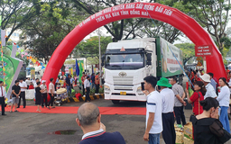 Xuất khẩu 360 tấn sầu riêng chính ngạch đầu tiên sang Trung Quốc