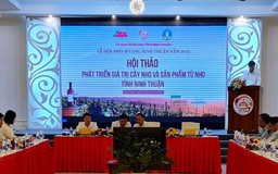 Ninh Thuận đầu tư phát triển nâng cao vị thế, giá trị của cây nho