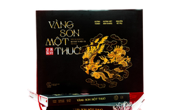 Sách hay: 'Vàng son một thuở...', từ sưu tập tư nhân vào sách