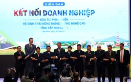 Tây Ninh thu hút đầu tư vào nông nghiệp công nghệ cao