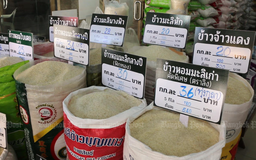 Kế hoạch ‘bá chủ’ thị trường xuất khẩu gạo của Thái Lan
