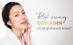 Top 3 collagen đang được tìm mua hiện nay