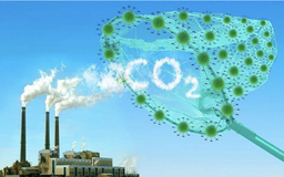 Định giá và thiết lập thị trường carbon nhằm giảm nhẹ phát thải khí nhà kính