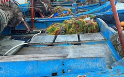 Bình Thuận: Điều tra nguyên nhân hai người trên tàu cá tử vong, một người nguy kịch