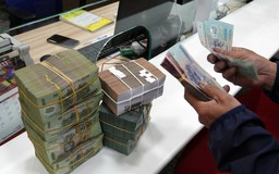 Tiền vẫn chảy vào ngân hàng