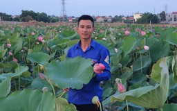 Chàng trai 9X bỏ xứ sở Bạch Dương về quê lập nghiệp với hoa sen
