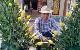 Người đàn ông gần 10 năm cắm hoa công quả cho chùa