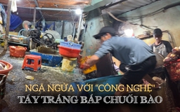 Ngã ngửa vì ‘công nghệ' tắm trắng bắp chuối bào bằng hóa chất lạ