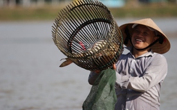 Cả làng hồ hởi mua vé chỉ 100.000 đồng xuống hồ bắt cá tự nhiên