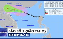 KHẨN CẤP: Bão số 1 (bão Talim) còn cách Móng Cái 480 km, gió giật cấp 15