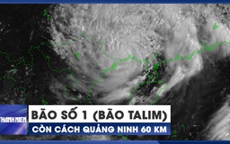 KHẨN CẤP: Bão số 1 (bão Talim) áp sát biên giới Việt Nam - Trung Quốc, gió giật cấp 11