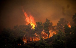 Hàng ngàn người sơ tán vì cháy rừng trên đảo Rhodes lúc nắng nóng gay gắt