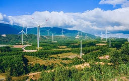 GELEX báo lãi hơn 1.000 tỉ đồng, hoàn thành gần 80% kế hoạch năm 2023