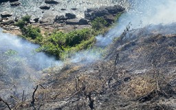 150 người khống chế đám cháy rừng trên đèo Hải Vân