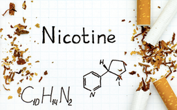 Nicotine không phải chất gây ung thư trong thuốc lá