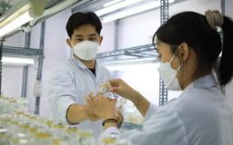 Trường Đại học Công thương TP.Hồ Chí Minh: Nơi đào tạo nhân lực chất lượng cao