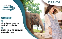 Nghe nhanh 6h: Đề xuất đưa 2 con voi ở Hà Nội về Đắk Lắk | Nhãn hàng gỡ hình ảnh Hoa hậu Ý Nhi