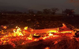 Cháy rừng ở Hawaii là thảm họa thiên nhiên chết chóc nhất ở Mỹ trong 100 năm