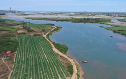 Quảng Ngãi đầu tư trên 600 tỉ đồng xây kè chống sạt lở sông Trà Khúc