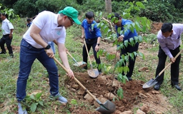 Bí thư T.Ư Đoàn Nguyễn Minh Triết tham gia trồng cây xanh ở Bình Thuận